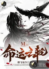 《命运之轮》小说封面