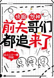 《快跑！怨种前夫哥们都追来了》小说封面