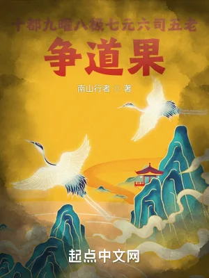 《十都九曜八极七元六司五老争道果》小说封面