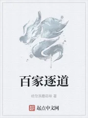 《百家逐道》小说封面