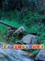 《苟在山里搞五行阴阳》小说封面