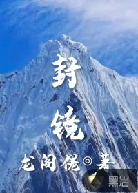 《封镜》小说封面