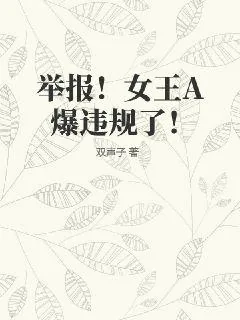《举报！女王A爆违规了！》小说封面