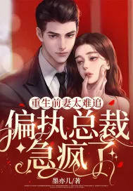 《重生前妻太难追，偏执总裁急疯了！》小说封面