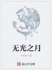 《无光之月》小说封面