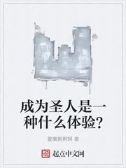 《成为圣人是一种什么体验？》小说封面