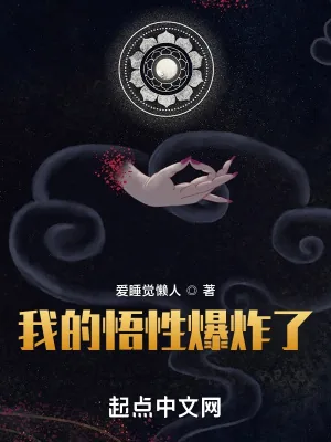 《我的悟性爆炸了》小说封面
