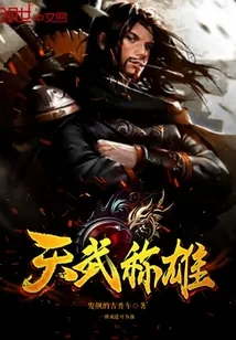 《天武称雄》小说封面