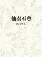 《仙秦至尊》小说封面