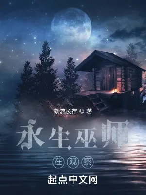 《永生巫师在观察》小说封面