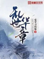 《乱世华章》小说封面