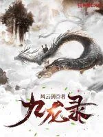 《九龙录》小说封面