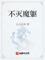 《不灭魔躯》小说封面