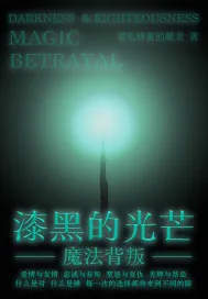 《漆黑的光芒:魔法背叛》小说封面