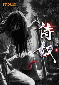 《侍奴》小说封面