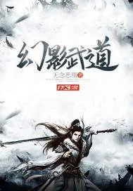 《幻影武道》小说封面