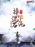 《天上掉下混沌石》小说封面