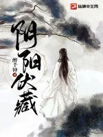《阴阳伏藏》小说封面