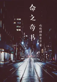 《命之奇书》小说封面