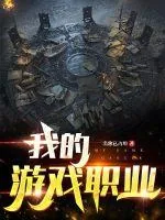 《我的游戏职业》小说封面