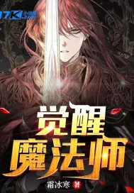 《觉醒魔法师》小说封面