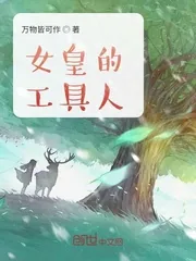 《女皇的工具人》小说封面