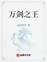 《万剑之王》小说封面
