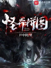 《怪异拼图》小说封面