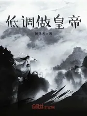 《低调做皇帝》小说封面