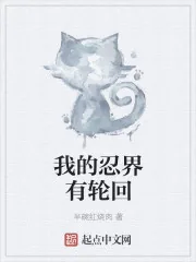 《我的忍界有轮回》小说封面
