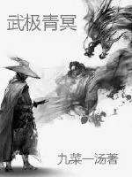 《武极青冥》小说封面