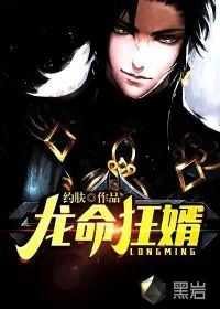 《龙命狂婿》小说封面