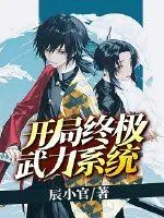 《开局终极武力系统》小说封面