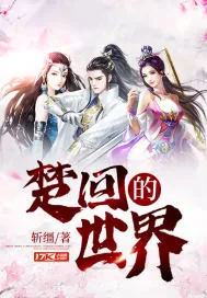 《楚回的世界》小说封面