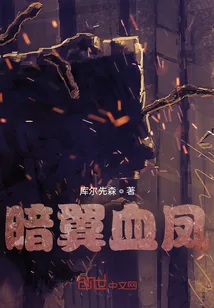 《暗翼血凤》小说封面