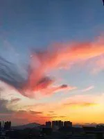 《朽》小说封面