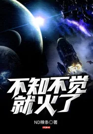 《不知不觉就火了》小说封面