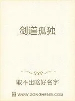 《剑道孤独》小说封面
