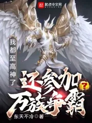 《摊牌了，我就是一位至高神》小说封面