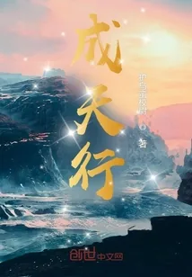 《成天行》小说封面