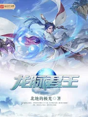 《龙脉君王》小说封面