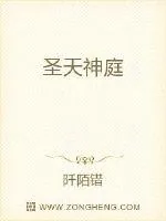 《圣天神庭》小说封面