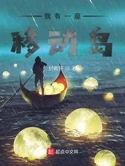 《我有一座移动岛》小说封面