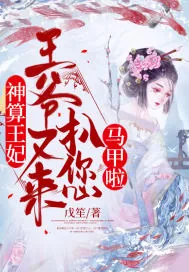 《神算王妃：王爷又来扒您马甲啦！》小说封面