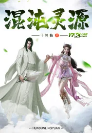 《混沌灵源》小说封面