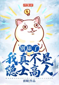 《别舔了，我真不是隐士高人》小说封面