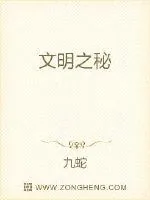 《文明之秘》小说封面