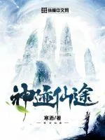 《神迹仙途》小说封面