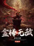 《金棒无敌》小说封面