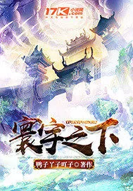 《寰宇之下》小说封面